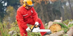 chainsaw safety